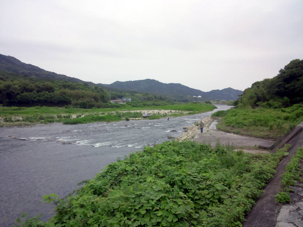 梅雨時の佐波川鮎つり風景