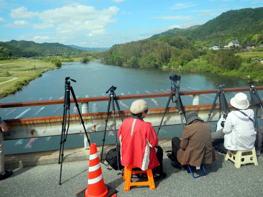 佐波川小野地区のこいのぼりを撮影していらしゃった市民カメラマン