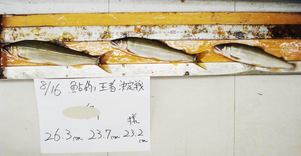 川島氏が釣った26センチ級の鮎