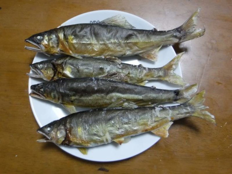 佐波川の鮎の美味しい姿塩焼き